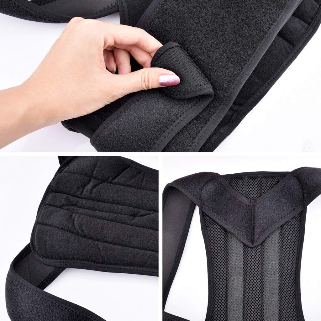 Posture Corrector Back Support